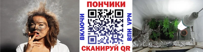 Купить закладку Ливны Галлюциногенные грибы Конопля АМФЕТАМИН