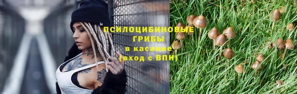 альфа пвп Нефтегорск