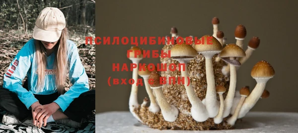 альфа пвп Нефтегорск