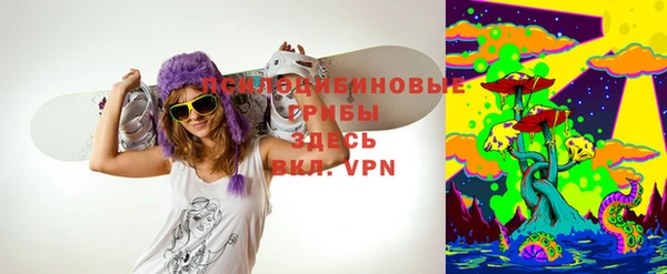ECSTASY Нефтекумск